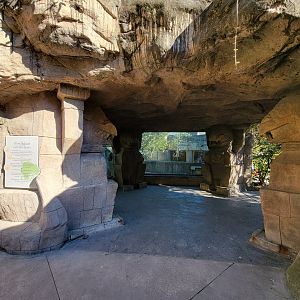 Akron Zoo - Jaguar exhibit