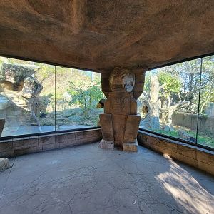 Akron Zoo - Jaguar exhibit