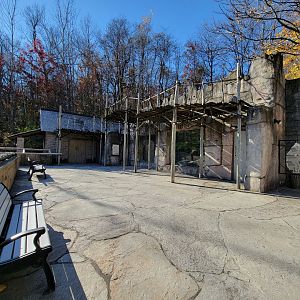 Akron Zoo - Andean condor area