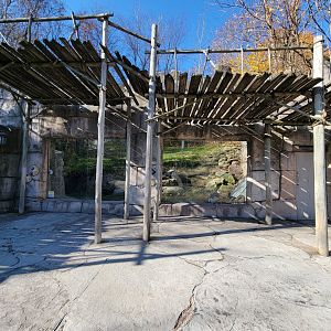 Akron Zoo - Andean condor viewing window