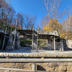 Akron Zoo - Andean condor exhibit
