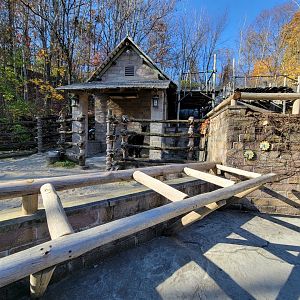 Akron Zoo - Awful alpaca exhibit