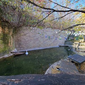 Akron Zoo - Duck pond