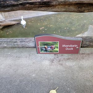 Akron Zoo - Example of duck signage