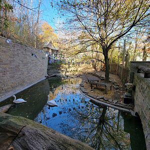 Akron Zoo - Duck pond