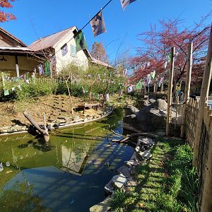 Akron Zoo - Duck pond