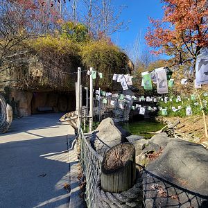 Akron Zoo - Duck pond