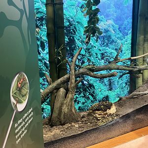 Tropic Zone - Leaf Cutter Ant Exhibit