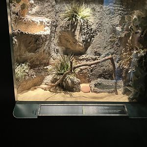 Tropic Zone - Angolan Python Terrarium