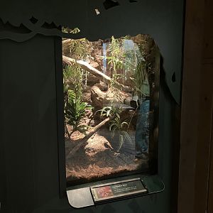 Tropic Zone - Thai Bamboo Racer Terrarium