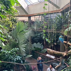 Tropic Zone - Aviary