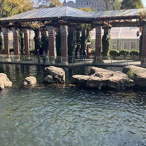 Temperate Territory - Japanese Macaque Exhibit