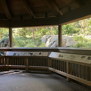 Temperate Territory - Snow Leopard/Temmink’s Tragopan Exhibit