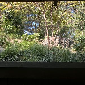 Temperate Territory - Snow Leopard/Temminks Tragopan Exhibit