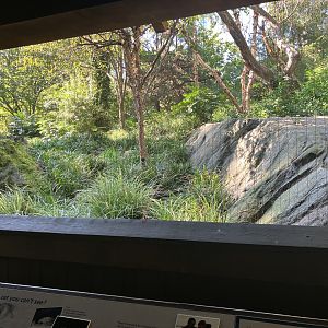Temperate Territory - Snow Leopard/Temmink’s Tragopan Exhibit