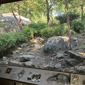Temperate Territory - Snow Leopard Exhibit