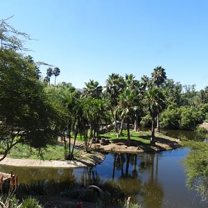 View in Africa Outpost
