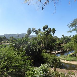 View in Africa outpost