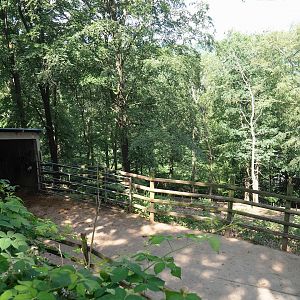 Poitou donkey shelter, hardstand and paddock, 2023-06-24