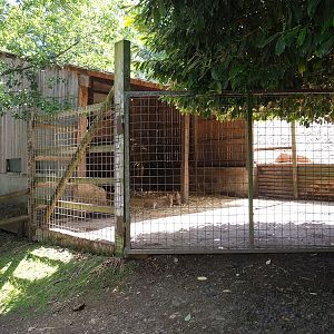 Père David's deer shelter and holding paddock, 2023-06-24