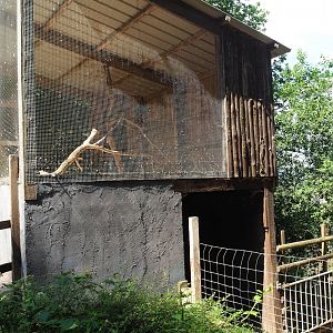 Harris's hawk aviary above Common fallow deer shelter, 2023-06-24