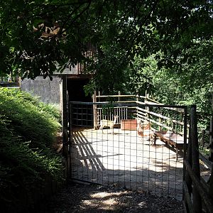 Common fallow deer holding paddock, 2023-06-24