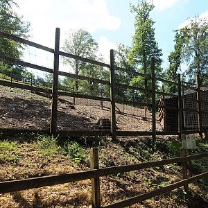 Sika deer paddock, 2023-06-24