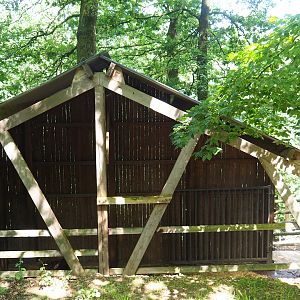 Wapiti shelter, 2023-06-24