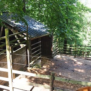 Wapiti shelter and holding paddock, 2023-06-24