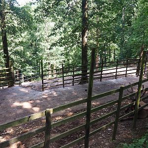 Wapiti holding paddock, 2023-06-24