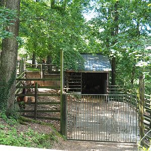 Wapiti holding paddock, 2023-06-24