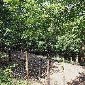 Wapiti paddock, 2023-06-24