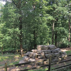 Rocky Mountain goat paddock, 2023-06-24