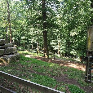 Rocky Mountain goat paddock, 2023-06-24