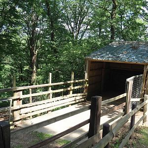 Rocky Mountain goat shelter and holding paddock, 2023-06-24