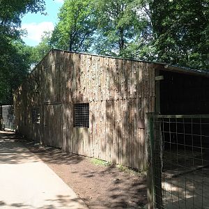Rocky Mountain goat and Domestic reindeer paddock, 2023-06-24