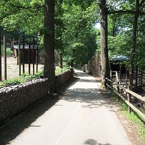 Walkway between European mouflon and Domestic reindeer exhibits, 2023-06-24