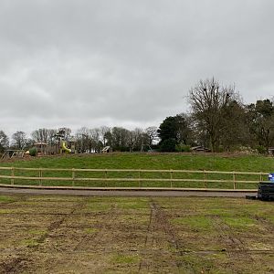 New outdoor picnic area (former sealion enclosure) WIP, ZSL Whipsnade