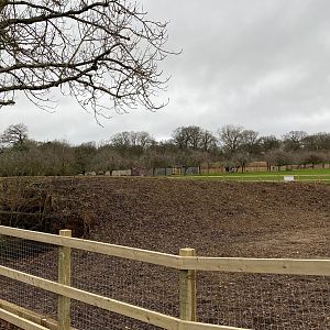 New outdoor picnic area (former sealion enclosure) WIP, ZSL Whipsnade