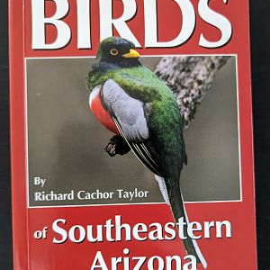 Birds of Southeastern Arizona