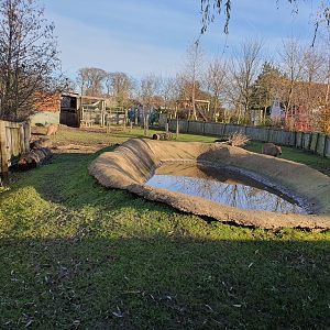 Capybara enclosure 25/11/23
