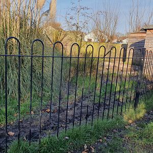 Giant Anteater enclosure 25/11/23