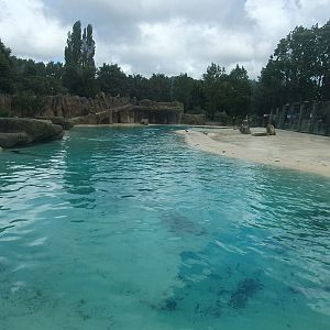 California Sea Lion enclosure 25/8/23