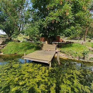 ASCO enclosure 25/8/23