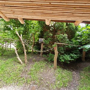 Red Panda enclosure 25/8/23