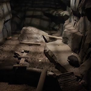 Big Hairy Armadillo enclosure 17/12/23