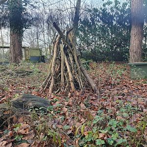European Hedgehog enclosure 17/12/23
