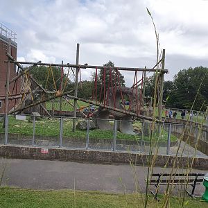 Orangutan Enclosure 25/8/23