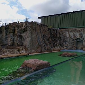 Sea Lion enclosure 3/8/23