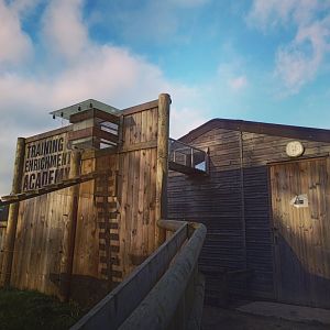 Raccoon Tunnel 17/12/23